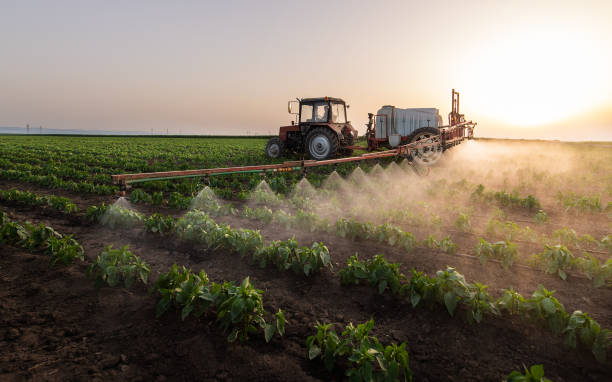 Best Best Pest Control Companies  in Jackpot, NV