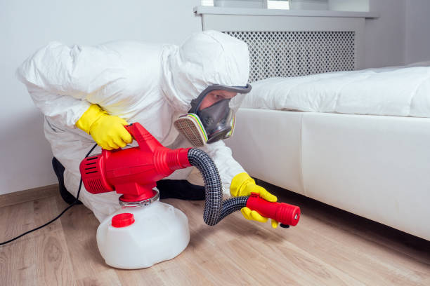 Best Bed Bug Extermination  in Jackpot, NV