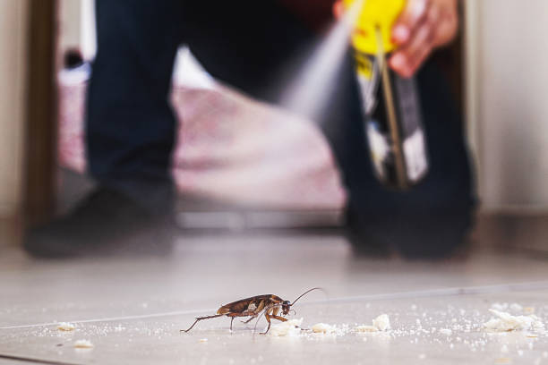 Best Emergency Pest Control  in Jackpot, NV