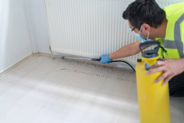 Wasp Removal Services in Jackpot, NV