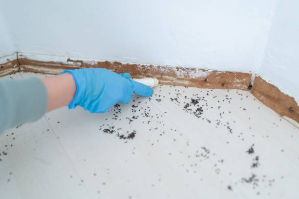 Best Exterminator Services  in Jackpot, NV