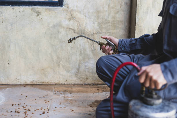 Best Affordable Pest Control Services  in Jackpot, NV